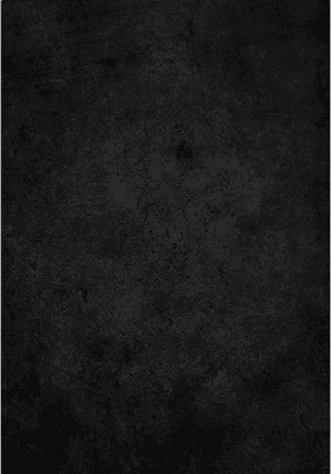 Hall of Champions Background