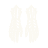 arms