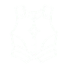 torso